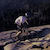 GT 1994 Mountain Bike Catalogue